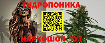 стафф Тверь