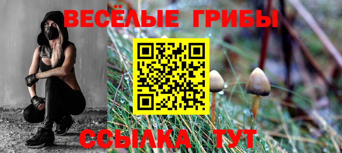 Псилоцибиновые грибы MAGIC MUSHROOMS  Псилоцибиновые грибы Psilocybine cubensis  Вход с VPN  Моздок 